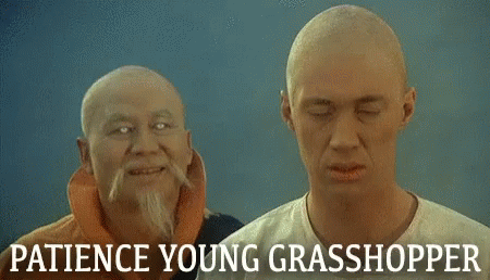 patience young grasshopper.gif