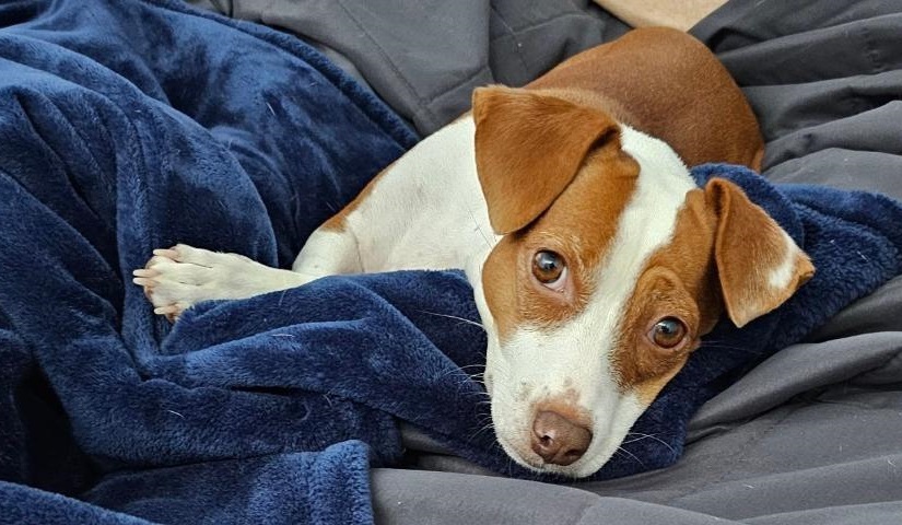 Patti bed 7 24.jpg