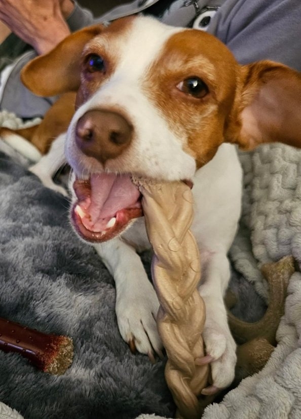 Patti bone 1.jpg