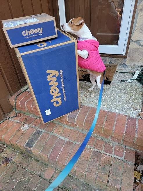 patti chewy box.jpg