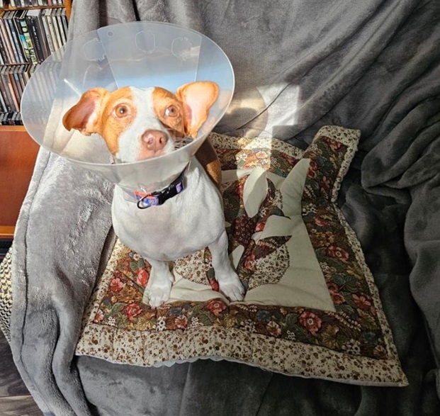 Patti cone sun 8 24.jpg