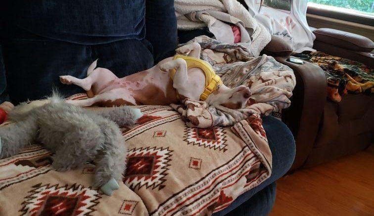 Patti couch.jpg