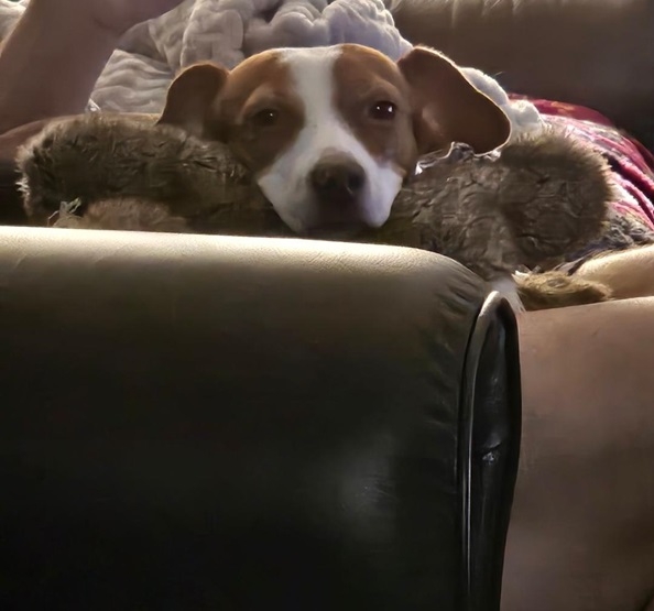 Patti couch.jpg