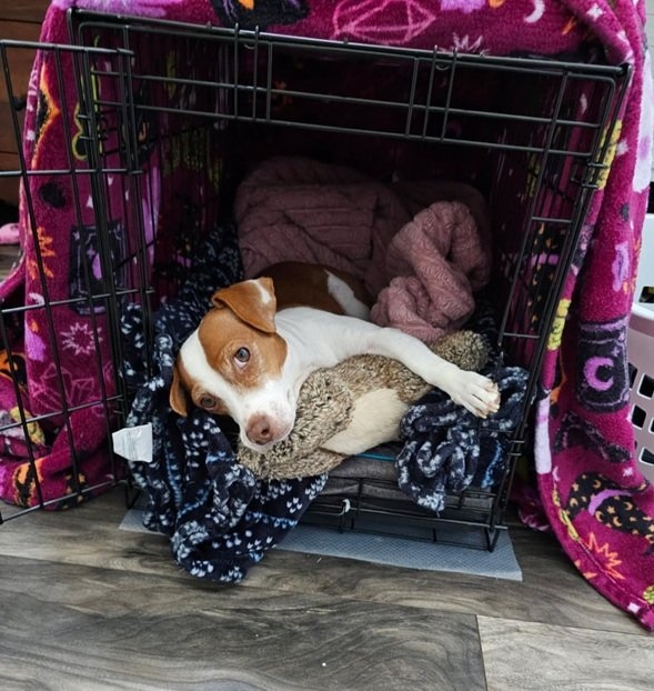 Patti crate 5 25.jpg