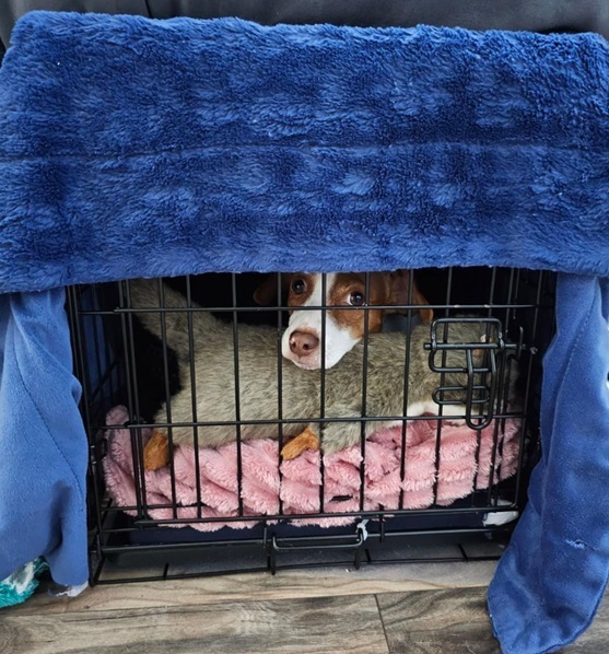 Patti crate 7 24.jpg