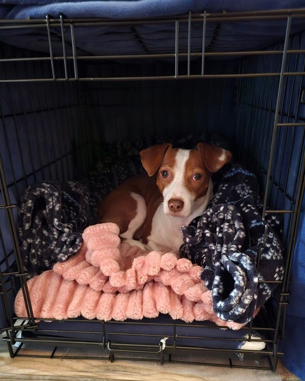Patti crate 8 24.jpg