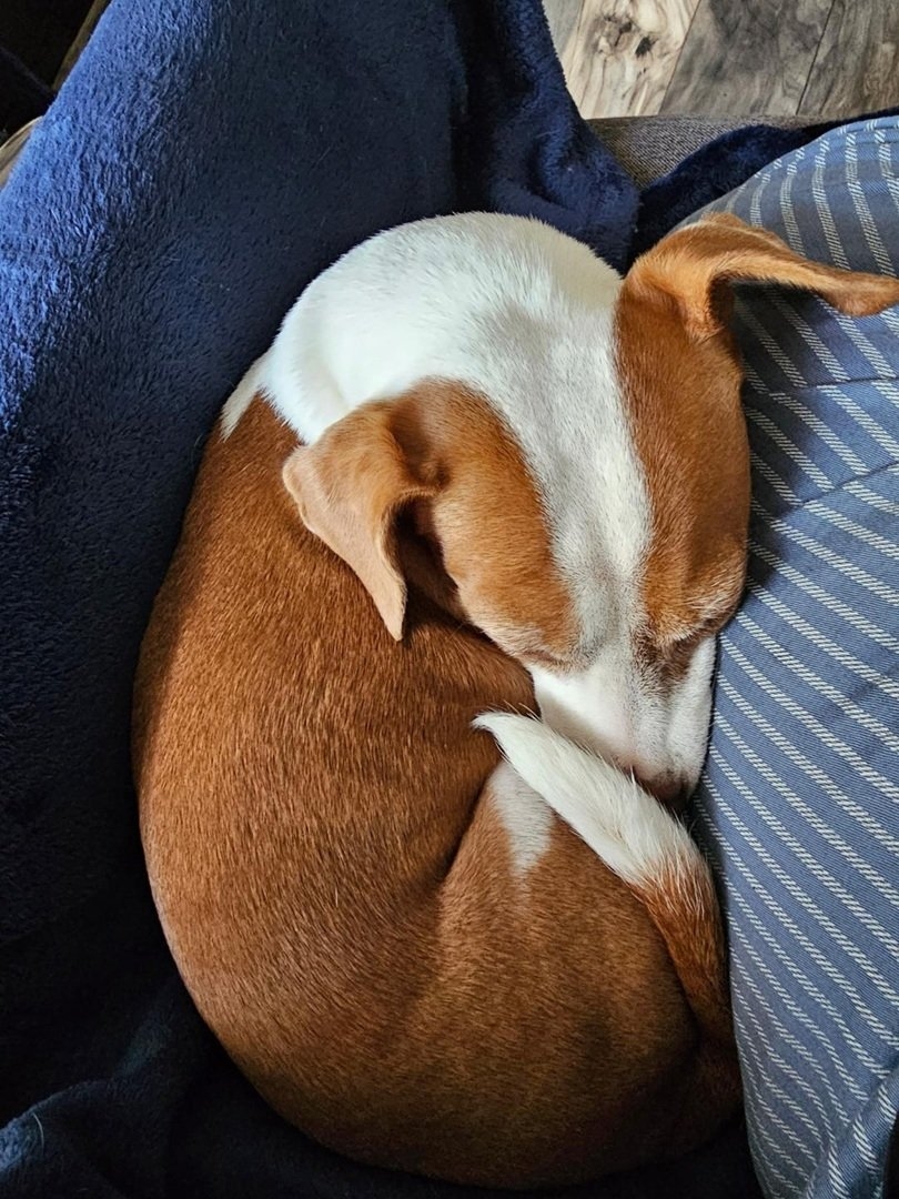 Patti cuddle 3 26.jpg