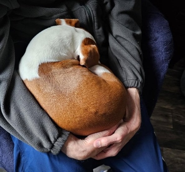 Patti cuddle 4 25.jpg