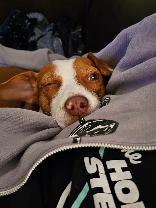Patti cuddle.jpg