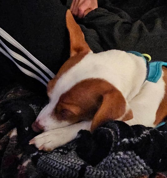Patti cuddle.jpg