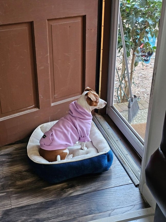 Patti door 2 24.jpg