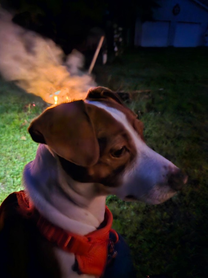 Patti fire.jpg