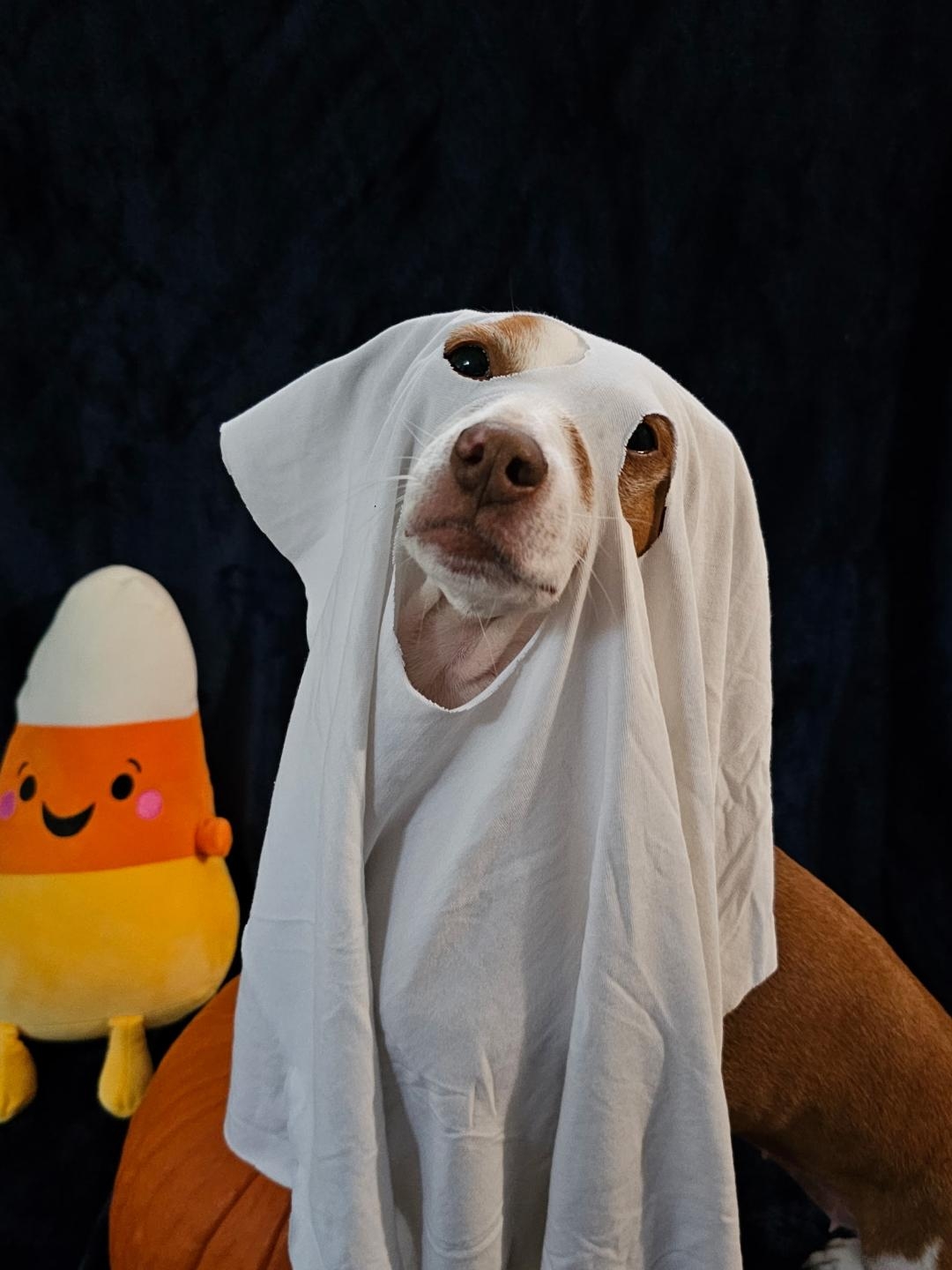 Patti ghost 3 10 25.jpg