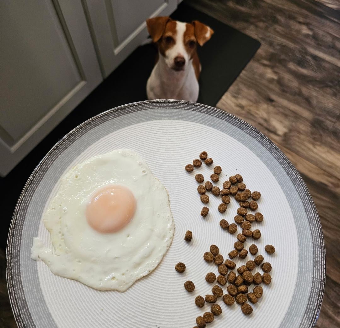 Patti gotcha breakfast 9 25.jpg