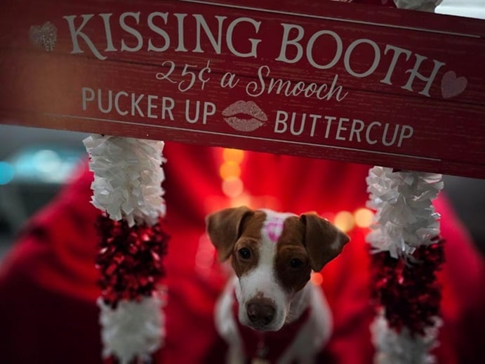 Patti kssing booth 1 1 24.jpg