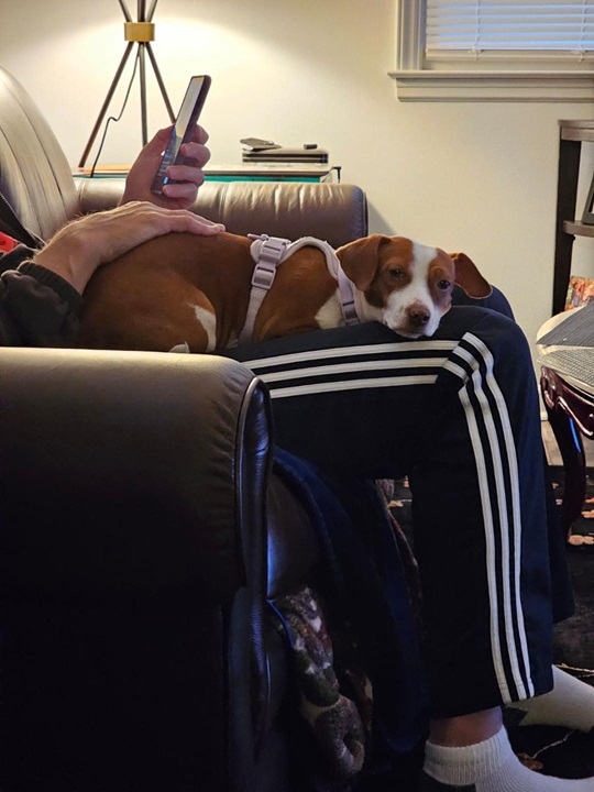 Patti lap 10 23.jpg