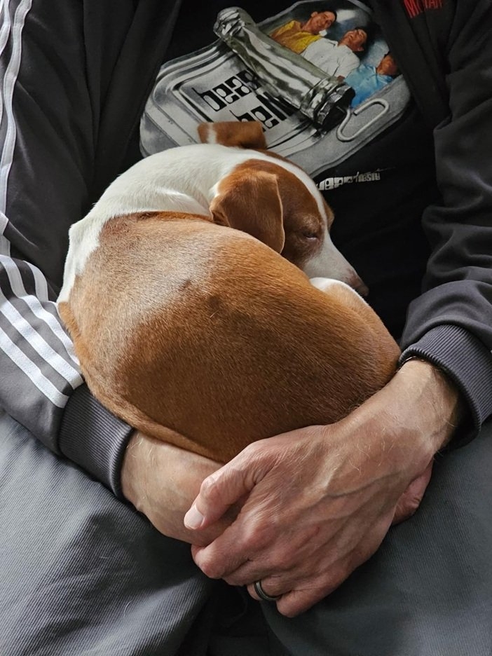 Patti lap 10 25.jpg