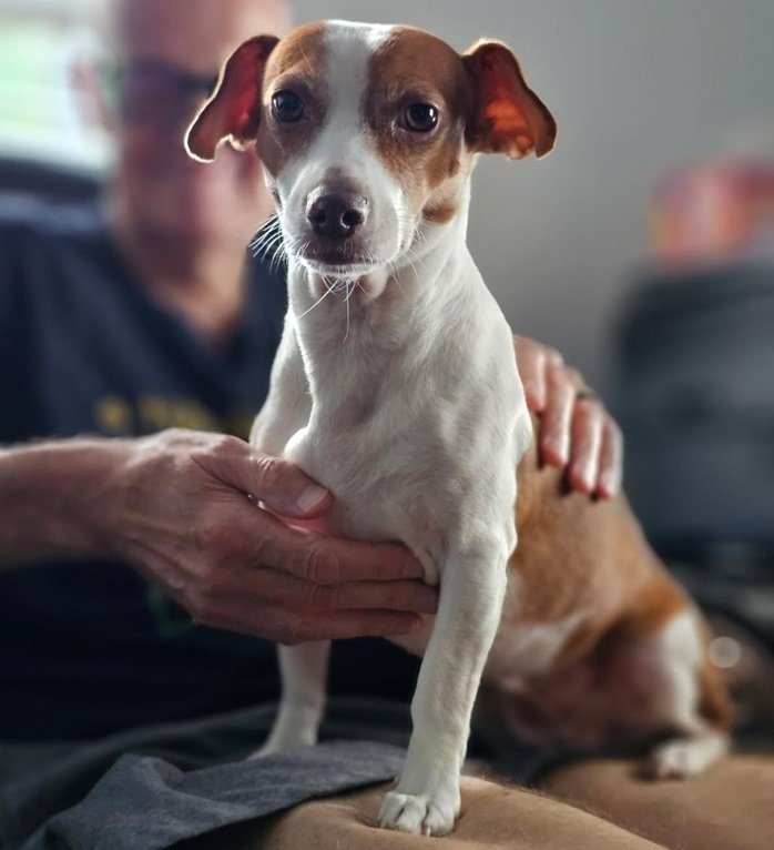 Patti lap 7 25.jpg
