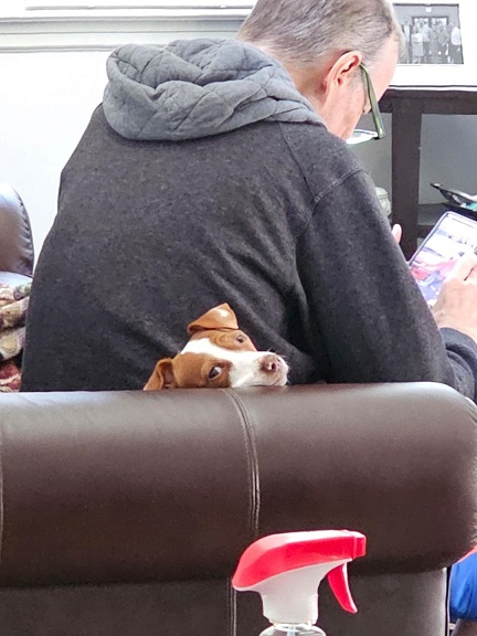 Patti me couch.jpg