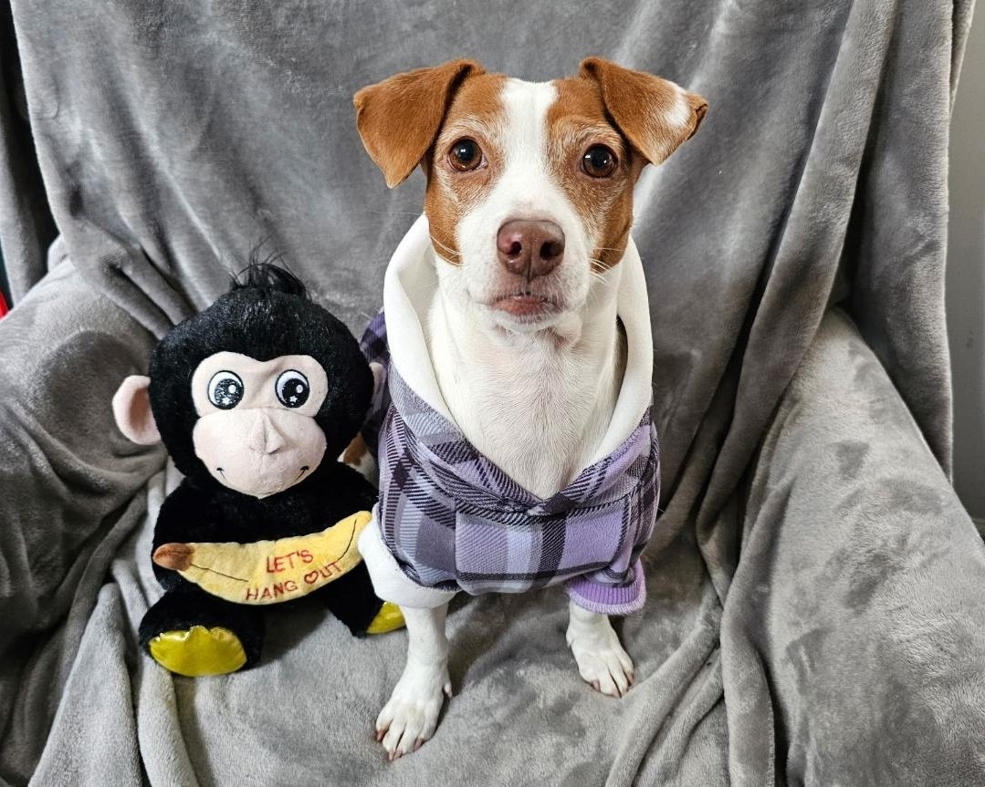 Patti monkey 1 26.jpg