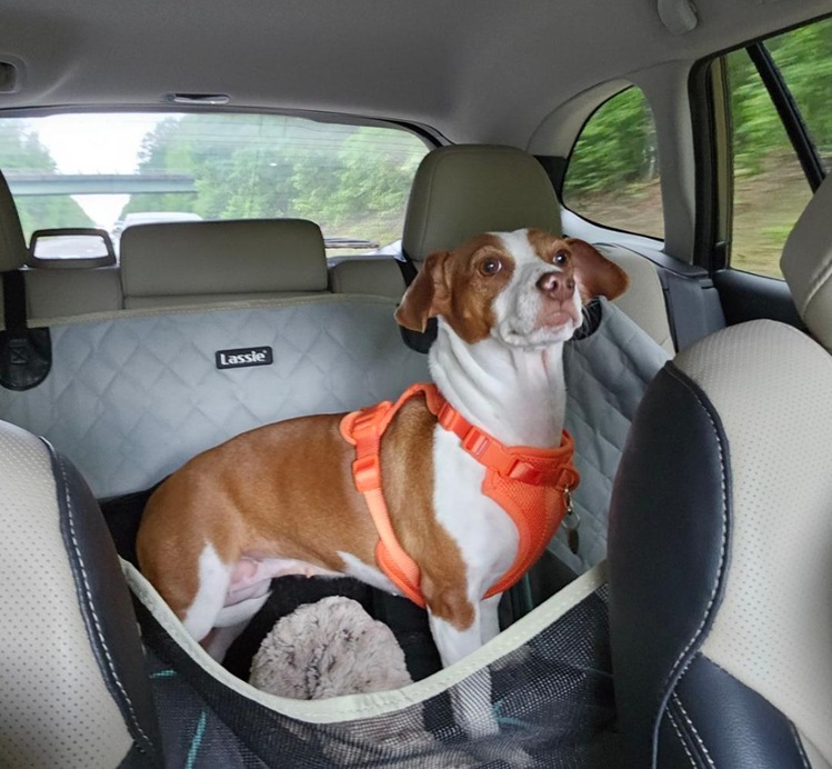 Patti on road.jpg