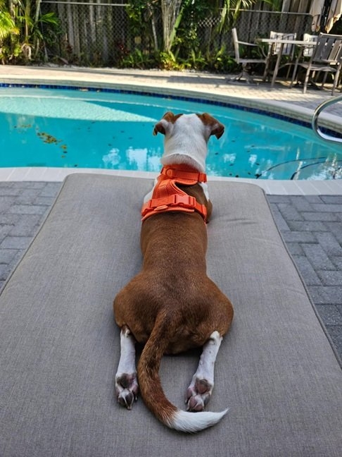 Patti pool 5 5 25.jpg