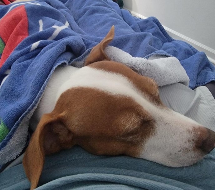 Patti post bath 9 25.jpg