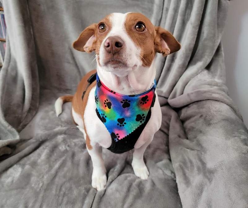 Patti pride crop.jpg