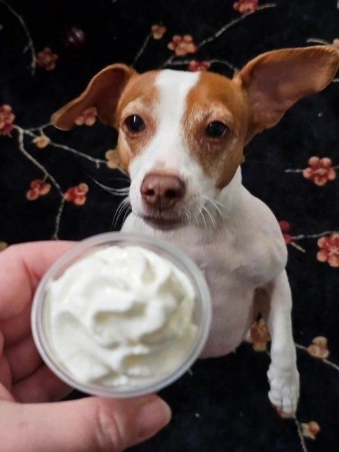 Patti pup cup 1 26.jpg
