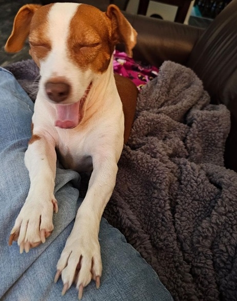 Patti sleepy.jpg