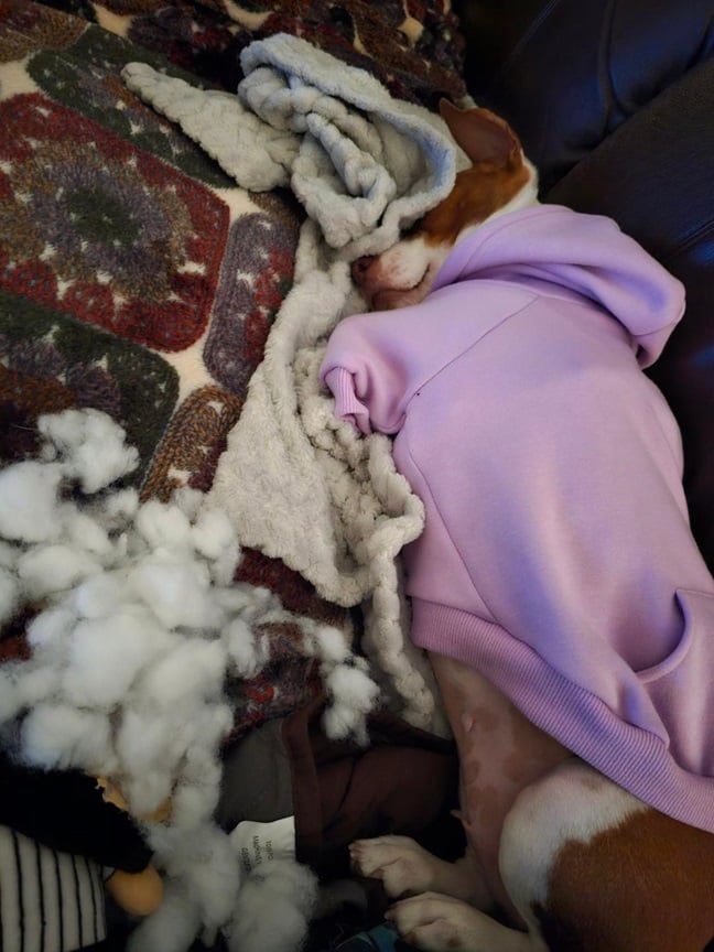 Patti snoring stuffing.jpg