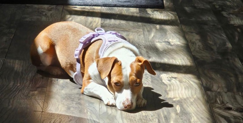 Patti sun floor 2.jpg