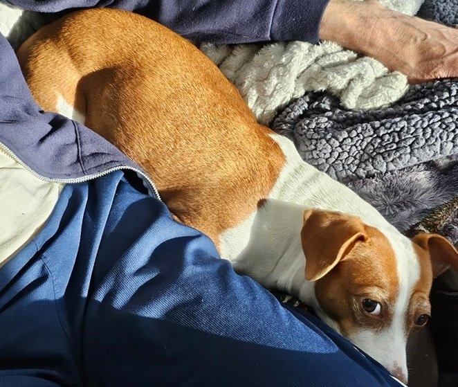 Patti sun snuggle.jpg