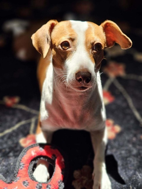 Patti sun tuffy.jpg