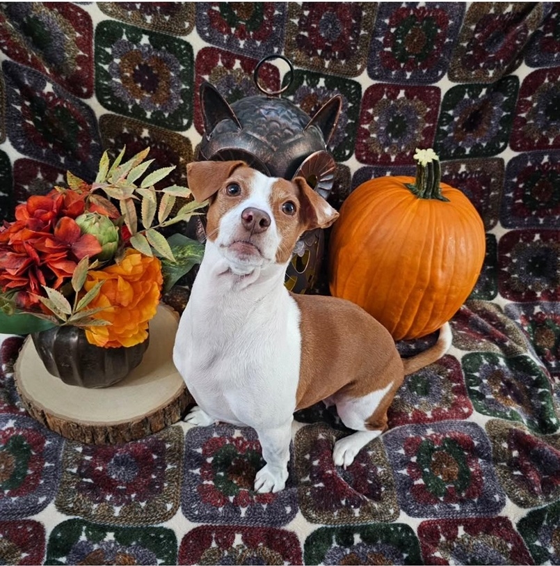 Patti tgiving.jpg