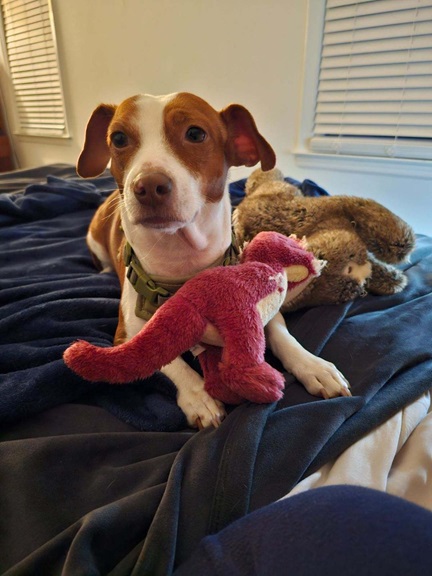 Patti toy.jpg