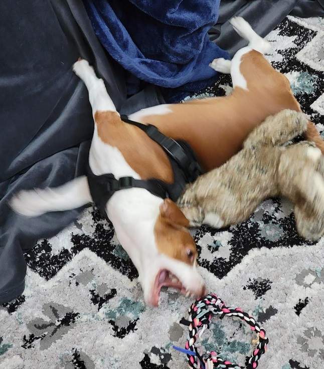 patti vicious.jpg