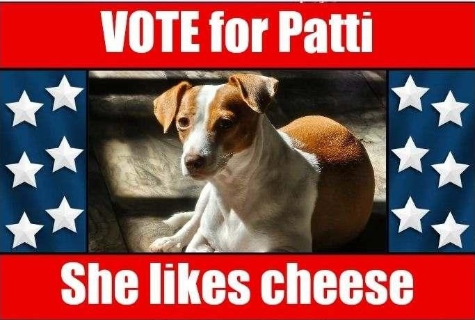 Patti vote 9 24.jpg