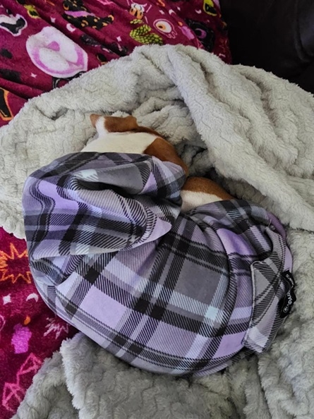 Patti warm 9 24.jpg