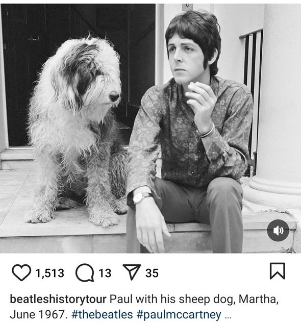 Paul dog.jpg