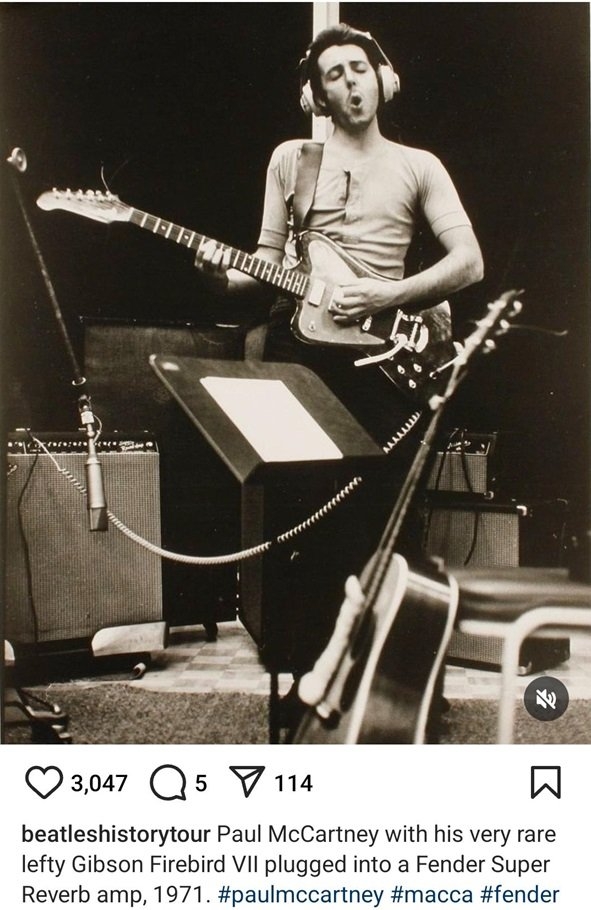 Paul firebird.jpg