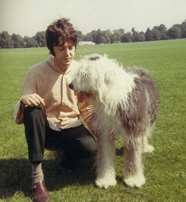 paul_mccartney_dog_martha.png