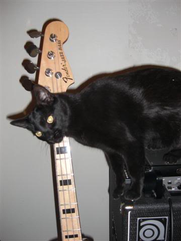Paulwithbass1Small.jpg