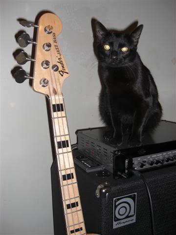 Paulwithbass2Small.jpg