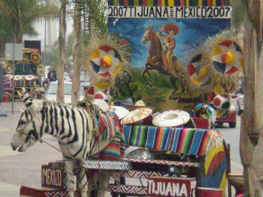 PB080033.jpg
