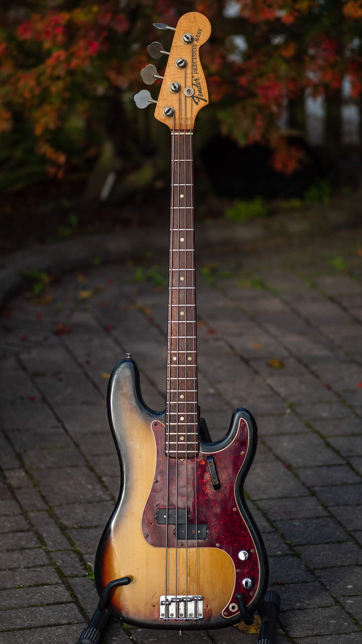 PB110846.jpg