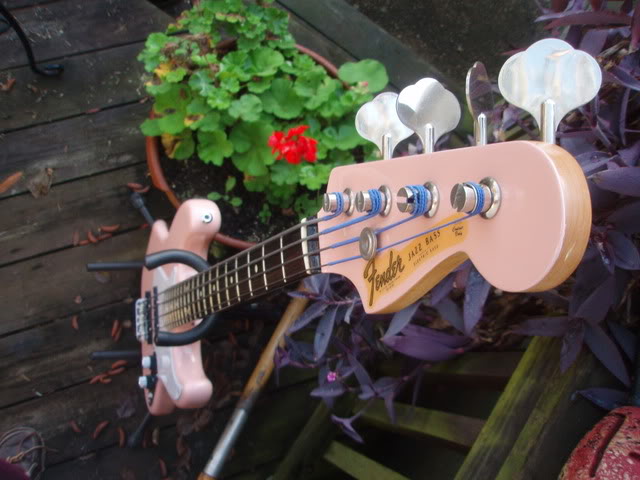 PB140048.jpg