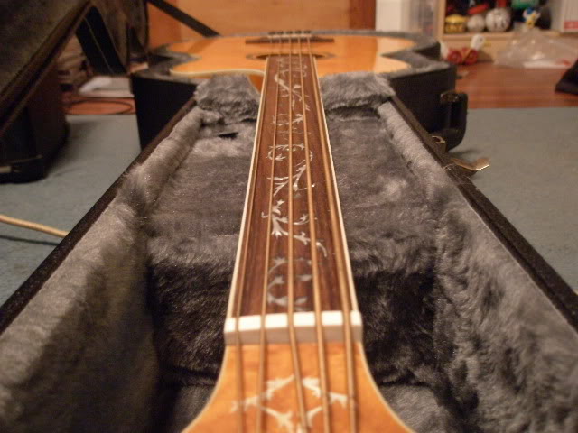 PB190250.jpg