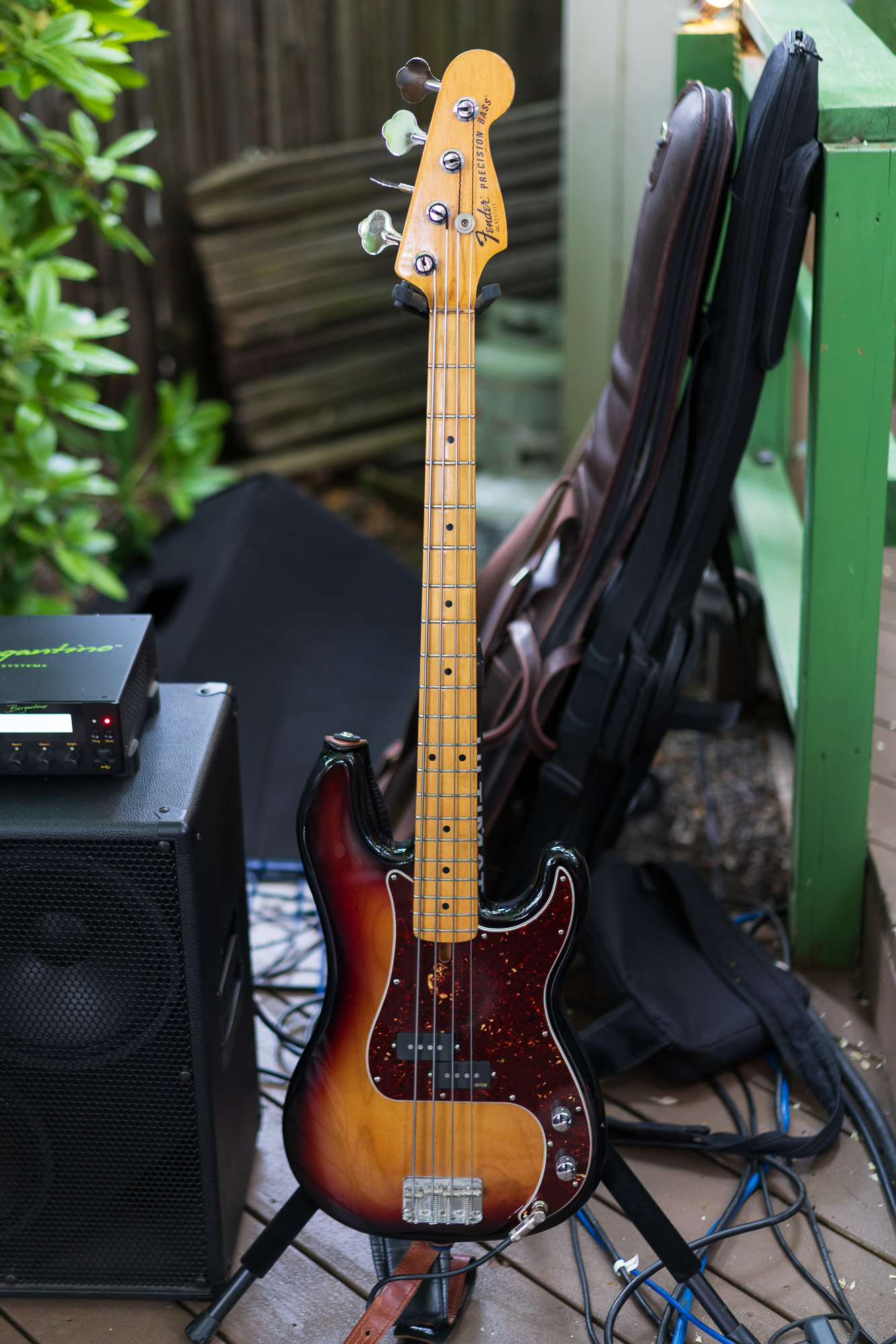 Pbass-1.jpg