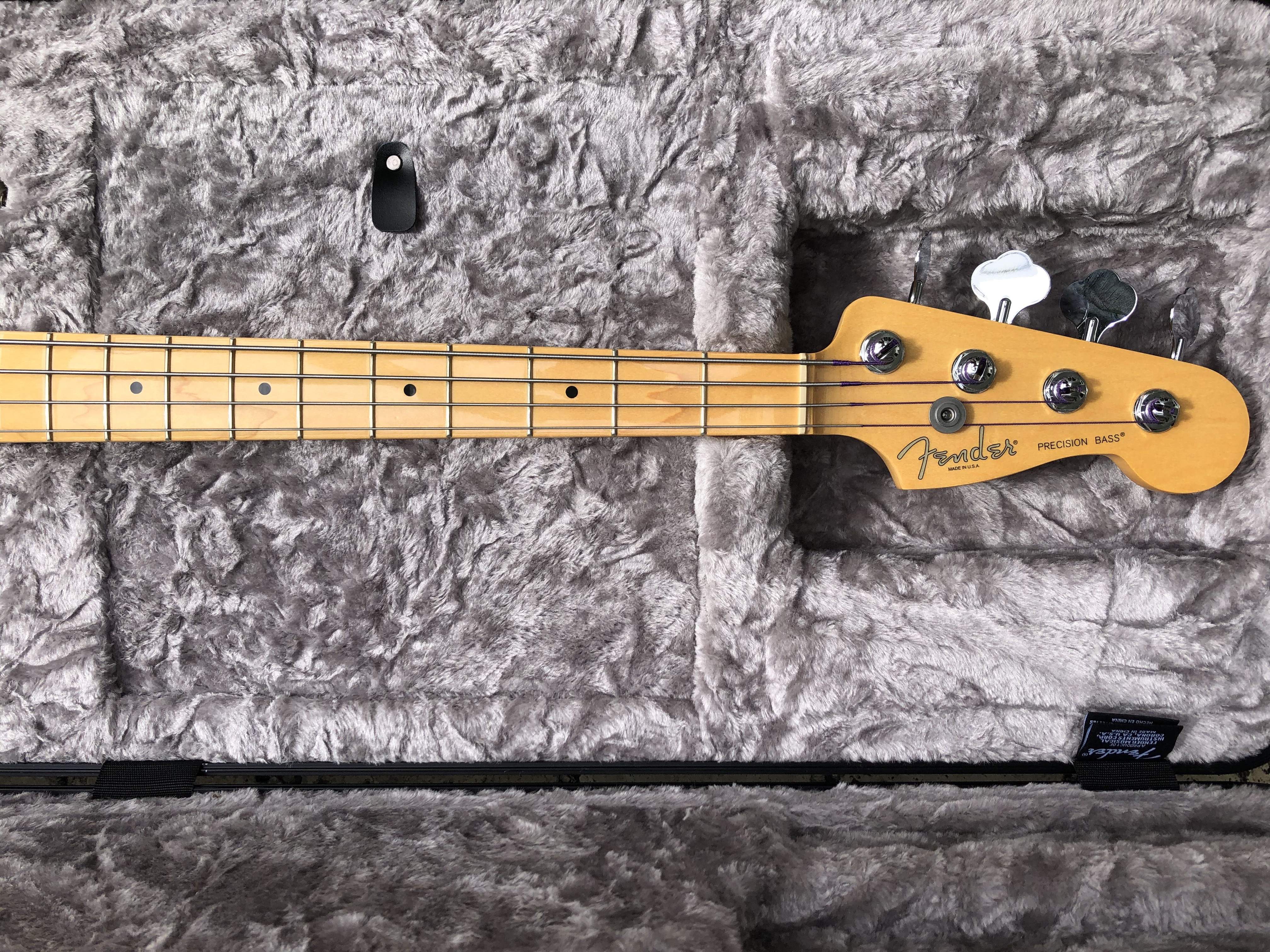 pbass 5.jpg